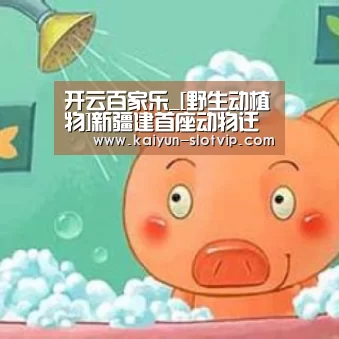 开云官网