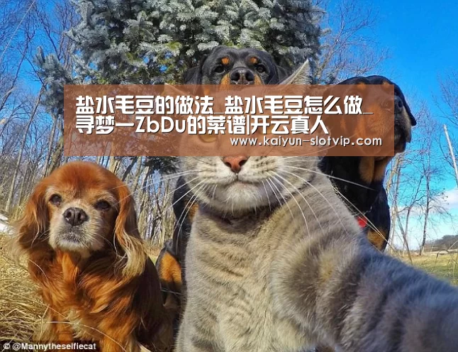 盐水毛豆的做法_盐水毛豆怎么做_寻梦一ZbDu的菜谱|开云真人(图4) 开云百家乐