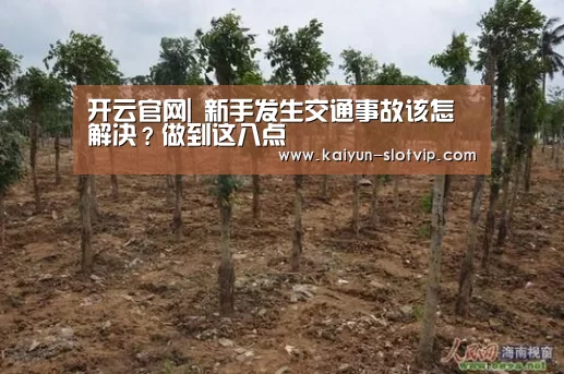 开云百家乐