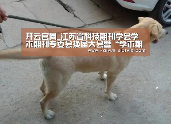 开云官网_江苏省科技期刊学会学术期刊专委会换届大会暨“学术期刊创新与发展”研讨会在南林召开(图3) 开云官网