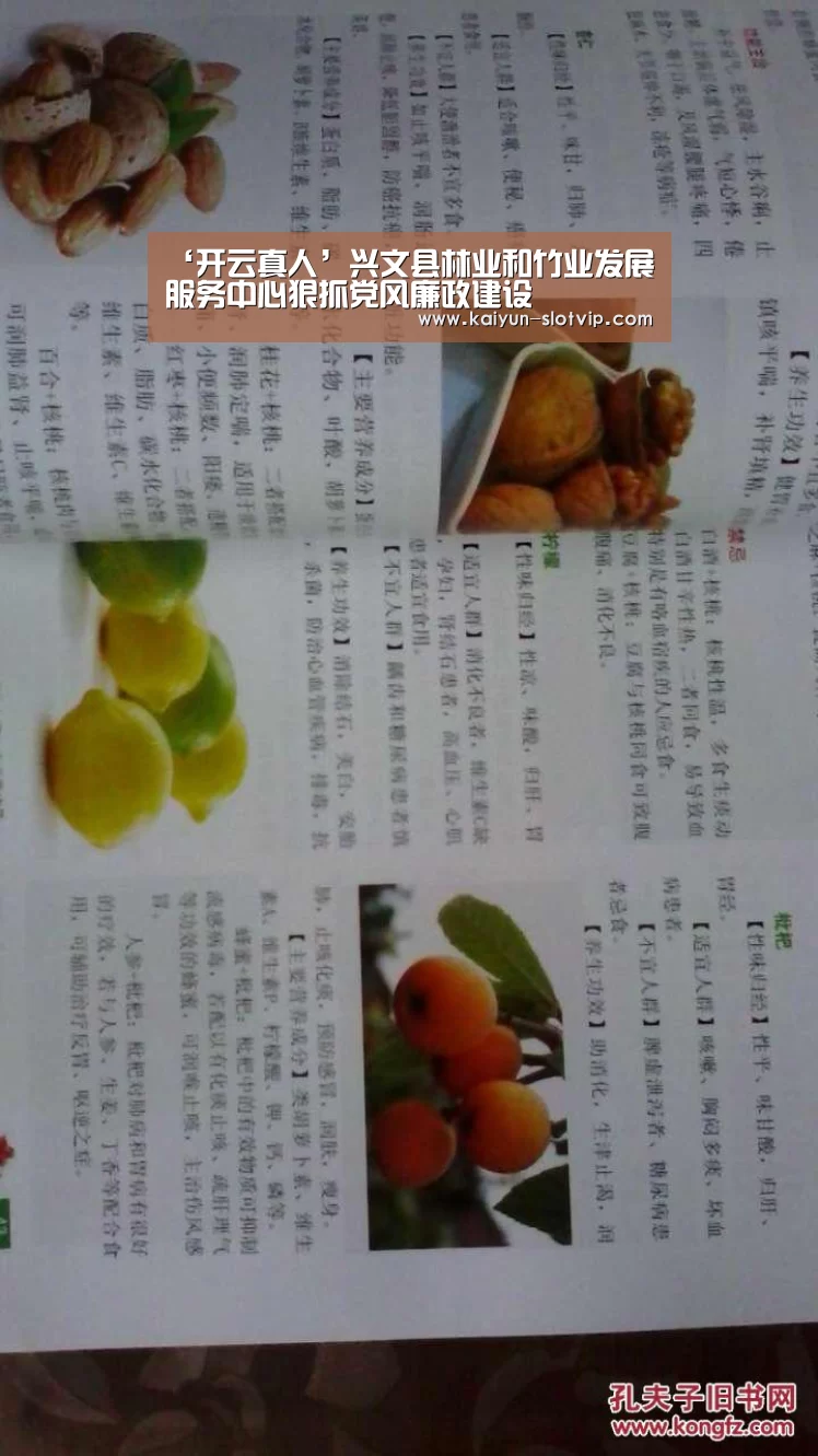 开云百家乐