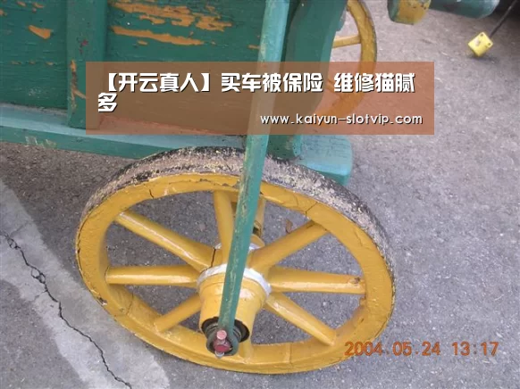 开云真人